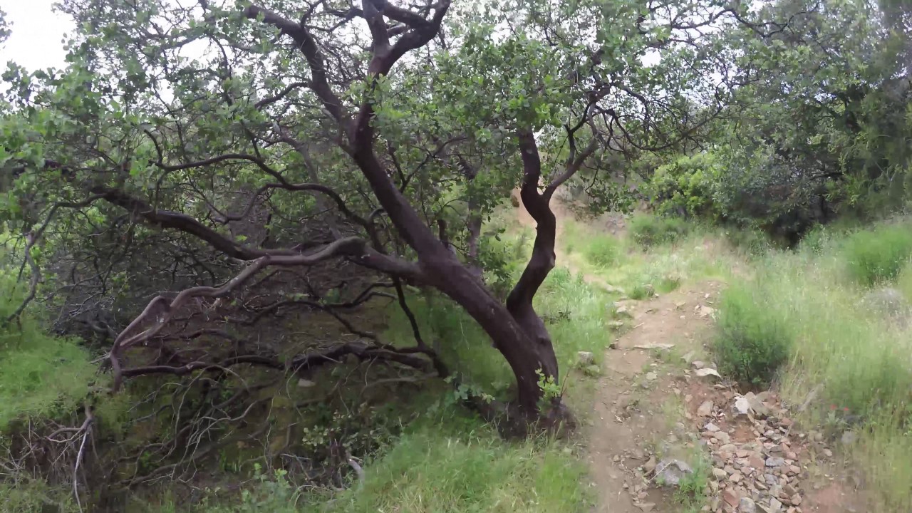Duchess Mine Trail