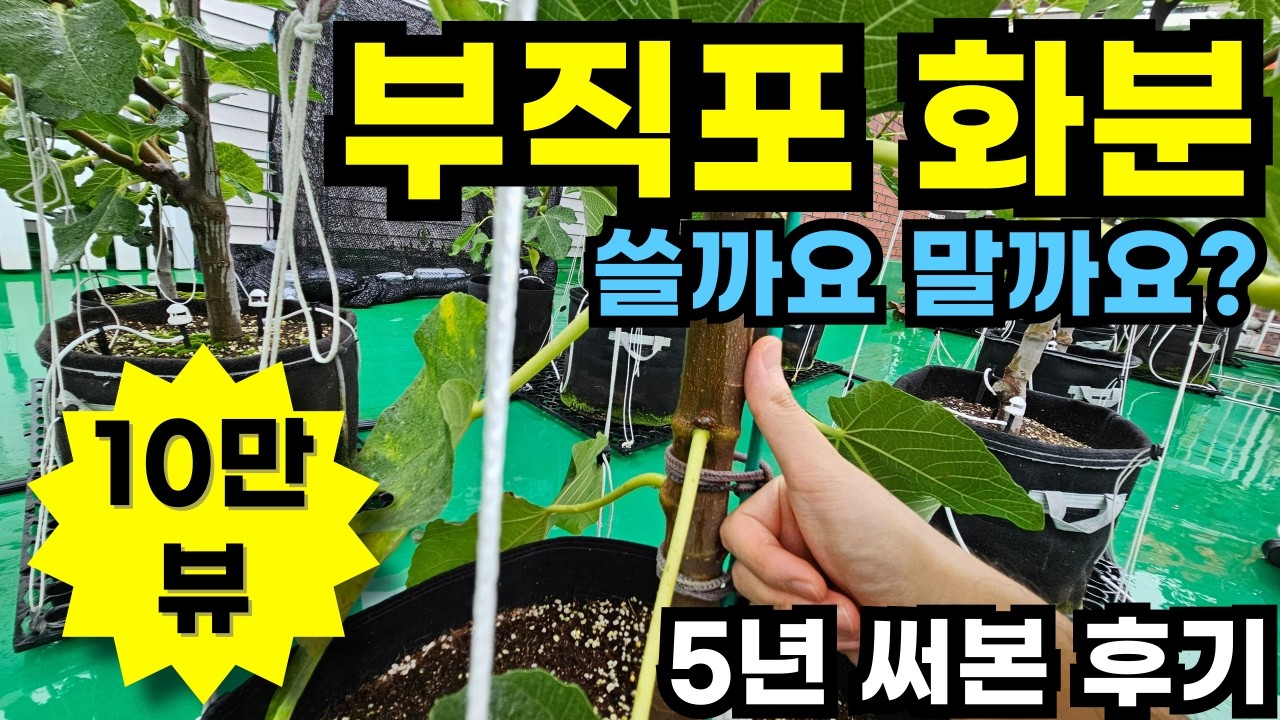 부직포화분 장단점과 1200개나 제작한 이유
