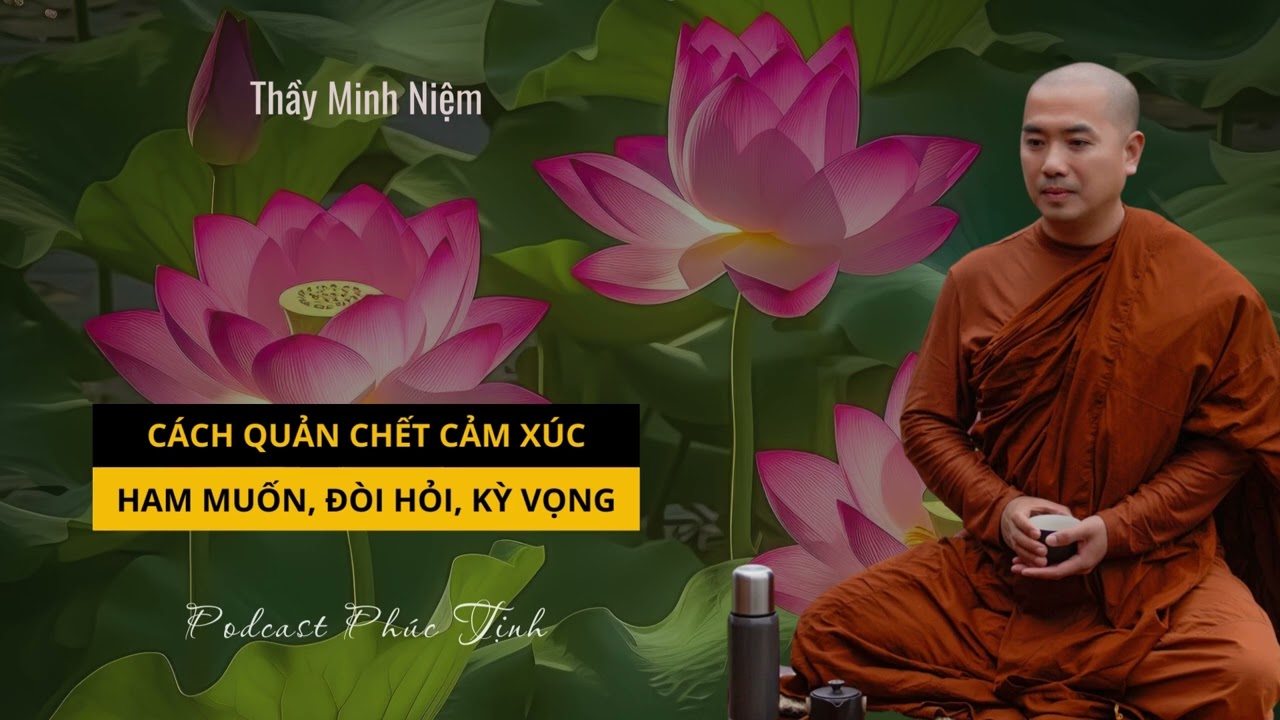 Cách Quản Chế Cảm Xúc, Ham Muốn, Đòi Hỏi, Kỳ Vọng | Thầy Minh Niệm |Phúc Tịnh - Học Phật Pháp