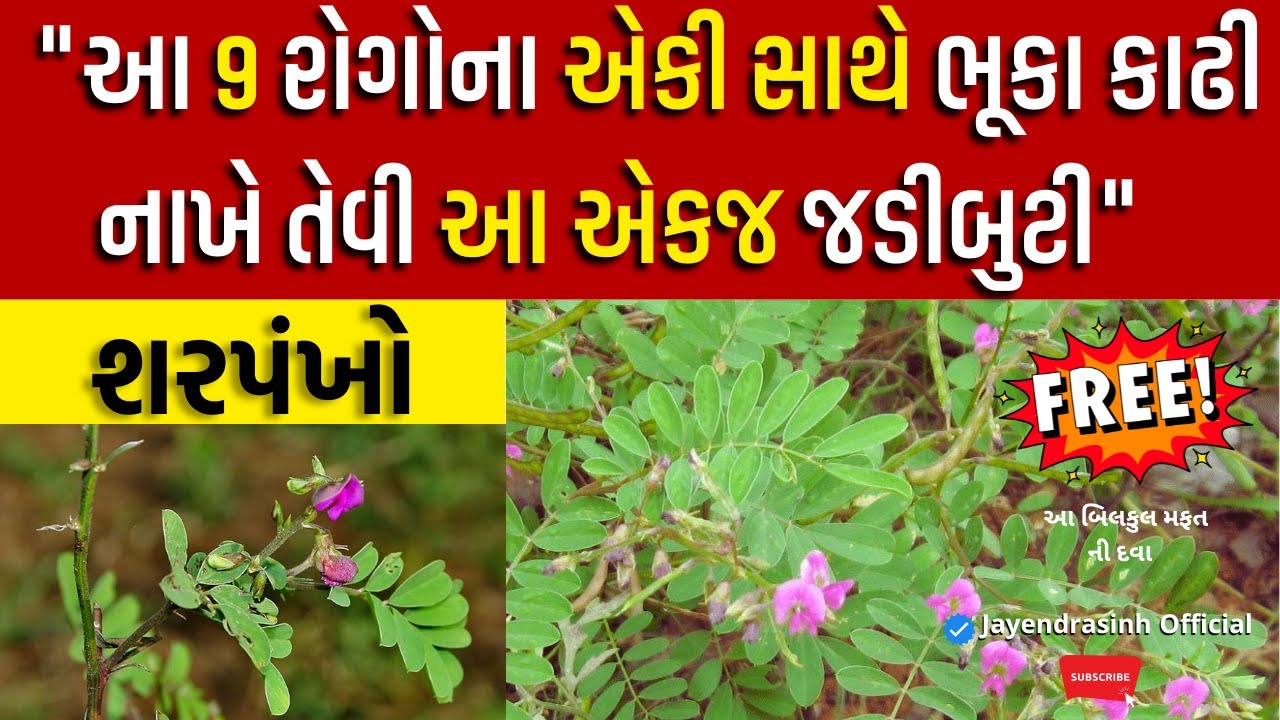 આ ભયંકર 9 રોગોનો મફત ઈલાજ,તમારી અગલ બગલ માજ છે ! |