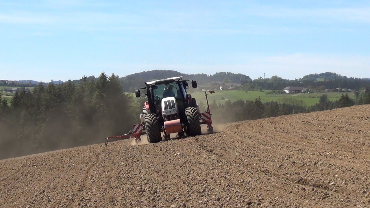 S&auml;en | Begr&uuml;nung und Mais 2016 | Steyr Profi 4110 classic, Steyr Profi 4110