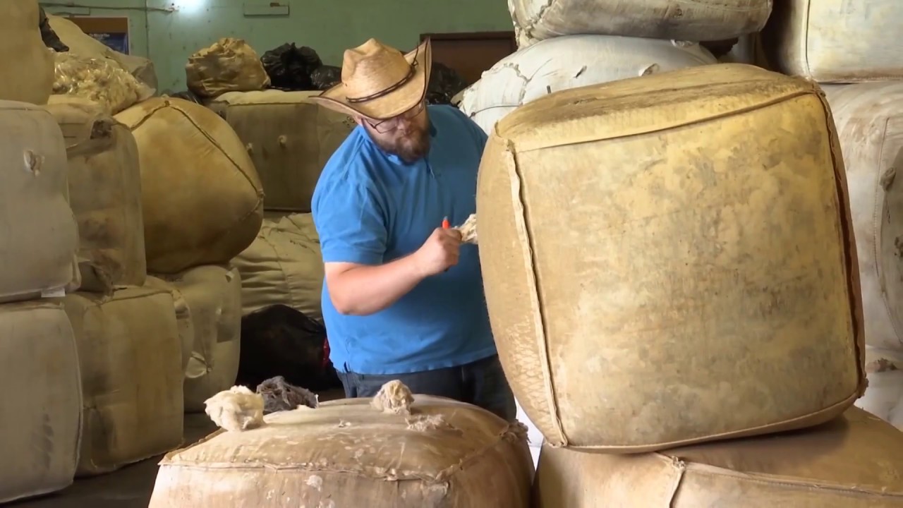 Sheep Producers Enjoy Record High Wool Prices