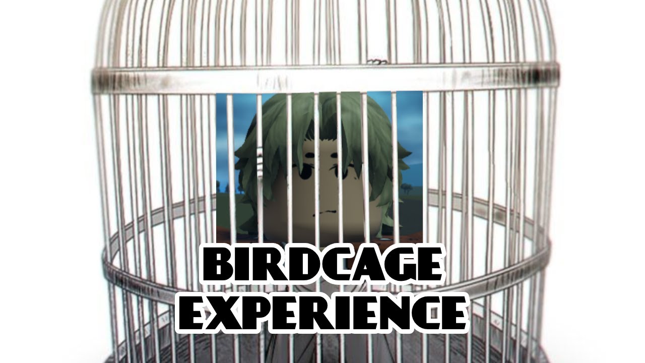 The Roblox Birdcage Experience