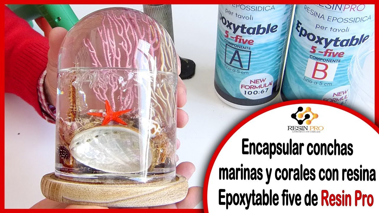 ENCAPSULAR CONCHAS MARINAS 🐚 y corales con resina Epoxytable five de Resin Pro