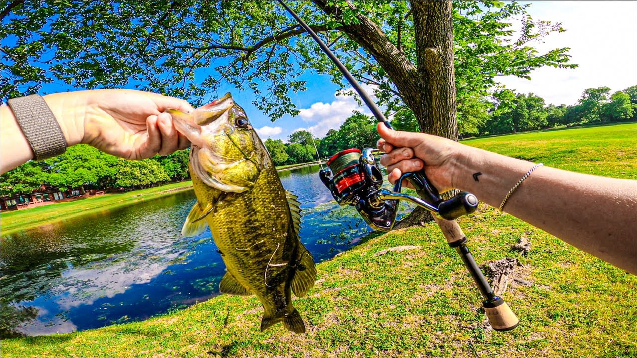 NEW CHEAP SHIMANO REEL!! $30 Possibly the best affordable spinning setup for fishing