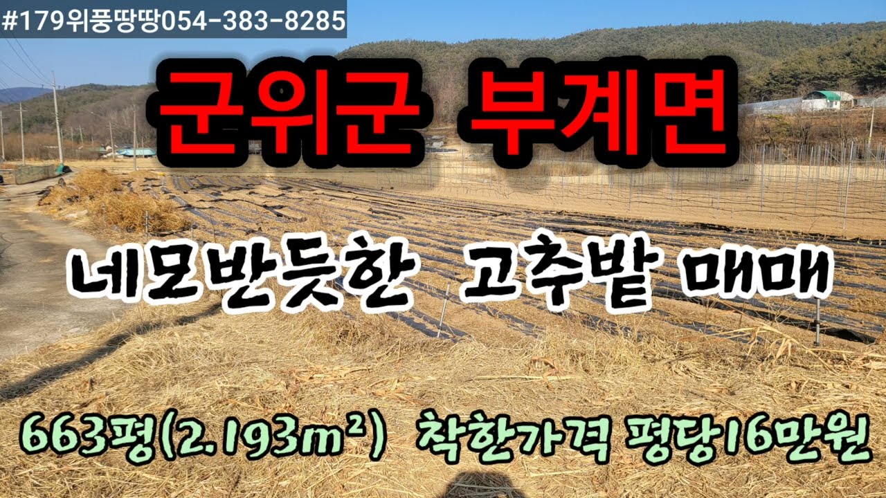 #179경북위풍땅땅                 대구시군위군부계면명산리네모반듯한고추밭663평(1.293m2)평당16만원 