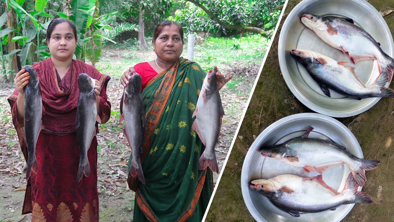 Pangas Fish (Pangasius) Cooking Recipe by Village Food Life || Pangas fish curry
