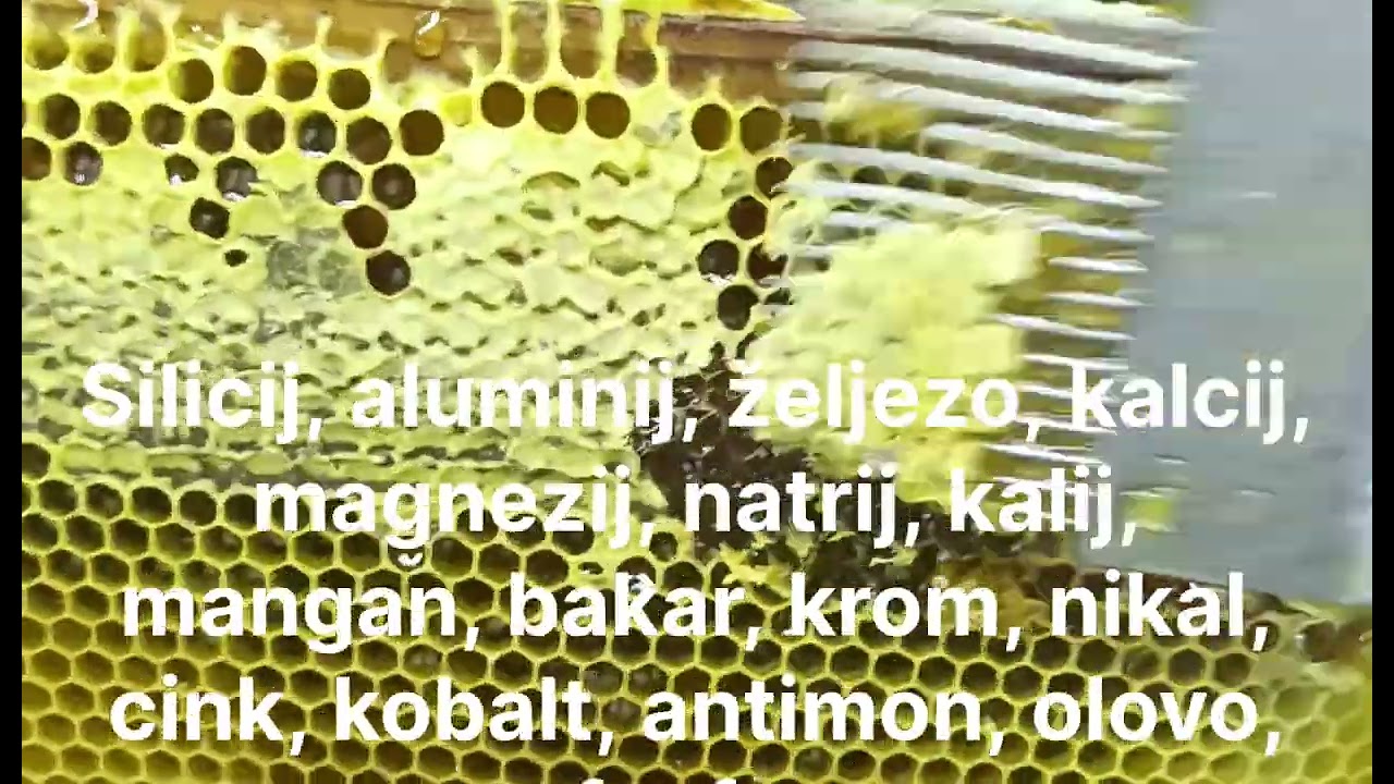 Znaš li šta se zapravo nalazi u pravom medu?