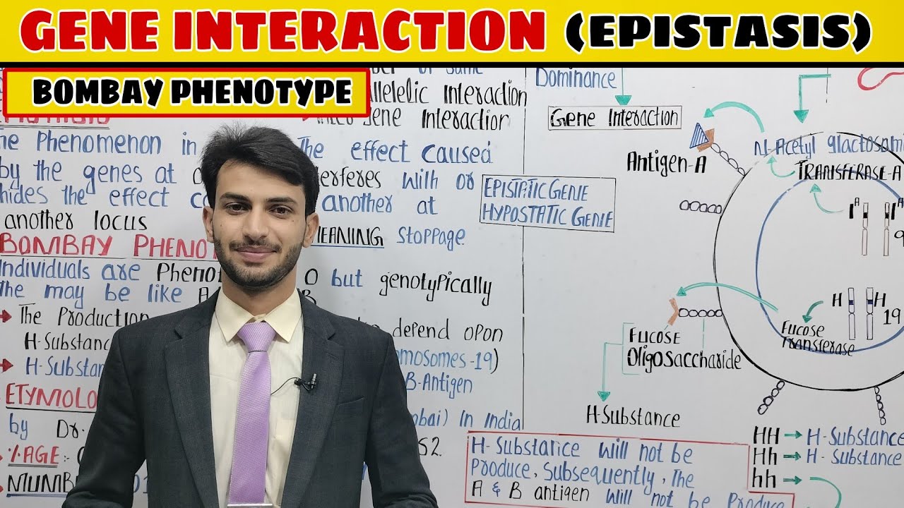 Gene Interaction | Epistasis | Bombay Phenotype | Genetics | Muneer | MDCAT | NCERT ETEA JEE