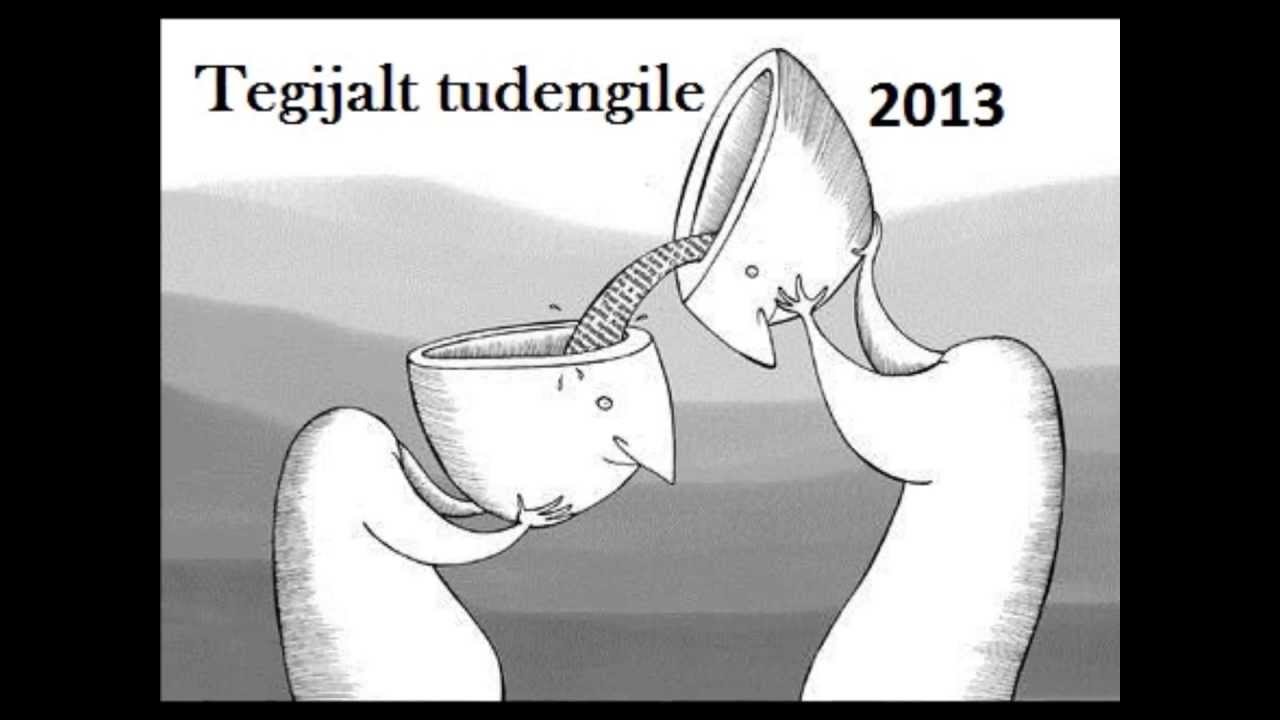 Tegijalt tudengile 2013