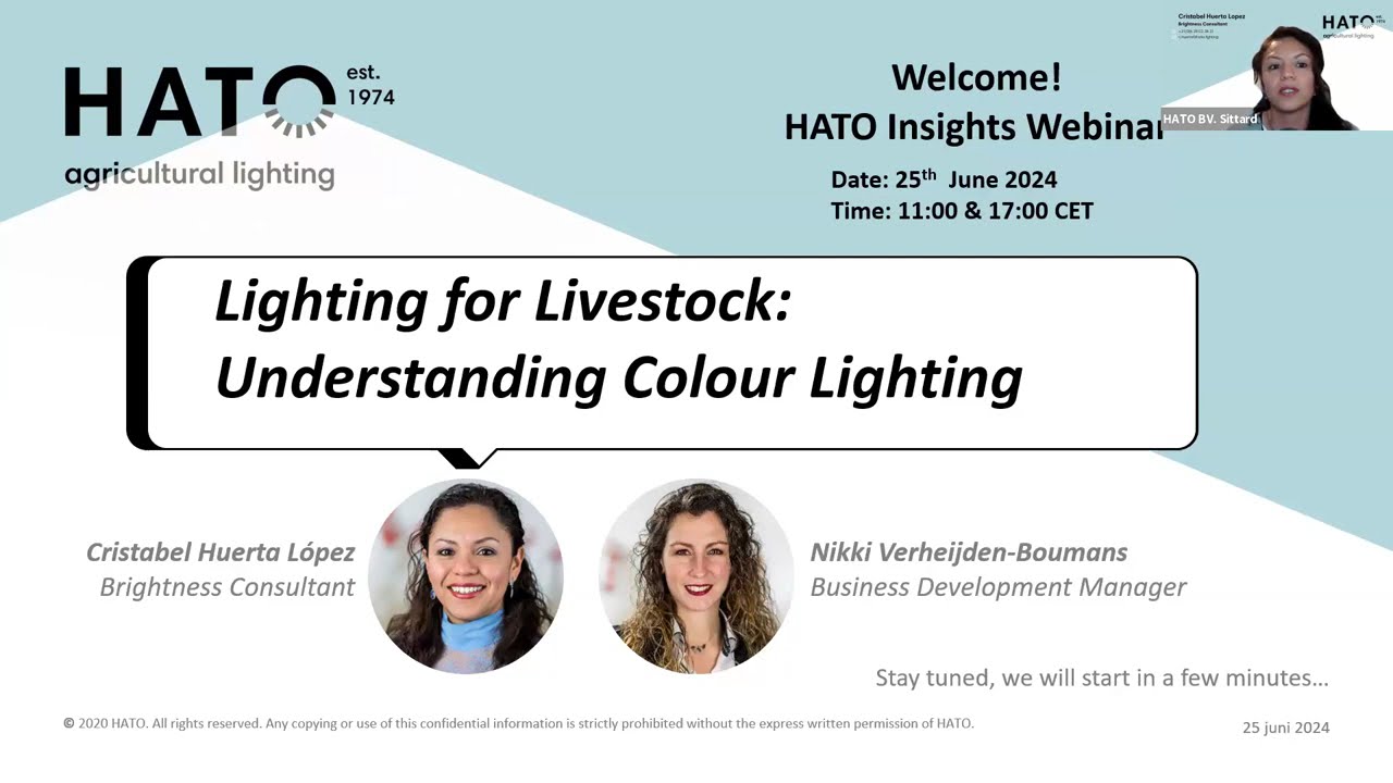 Colour Lighting in Livestock: How It Shapes Animal Welfare and Farm Performance