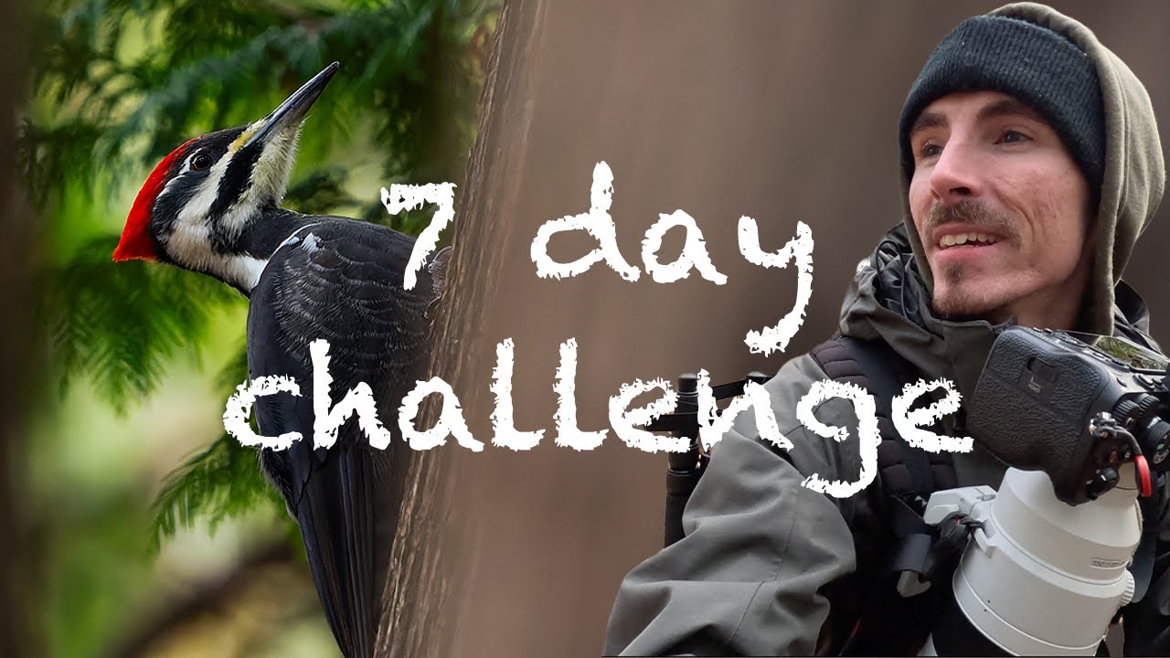 Get Motivated: Wildlife Photography