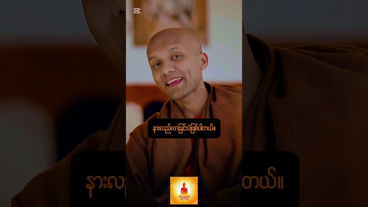 Live for what today has to offer | Dhamma Sutta #dhammasutta #motivation #dhammatalks #shotrs
