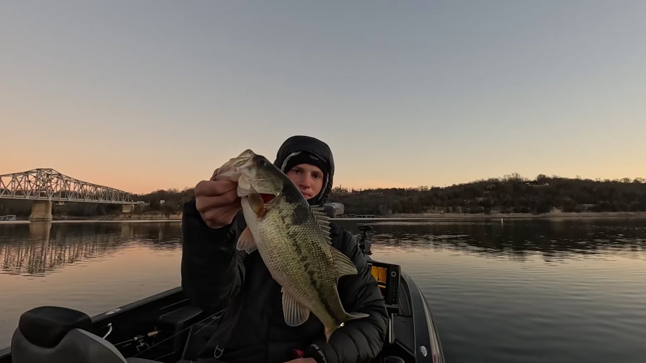 Table rock brush pile/shad bassin 