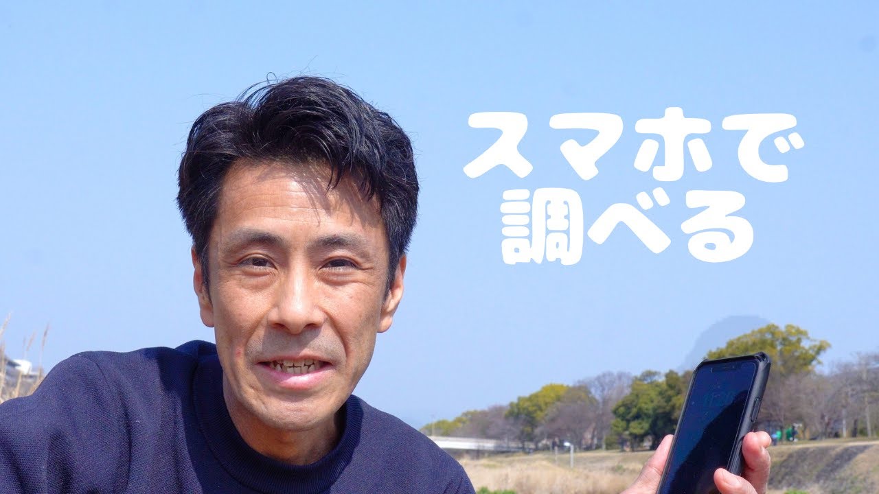 スマホでお花の名前を調べる方法　特別なアプリ不要です　食べられる野草を調べる場合の注意点