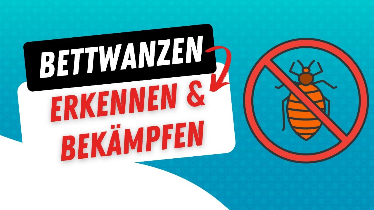 Bettwanzen erkennen & effektiv bekämpfen – So geht’s!