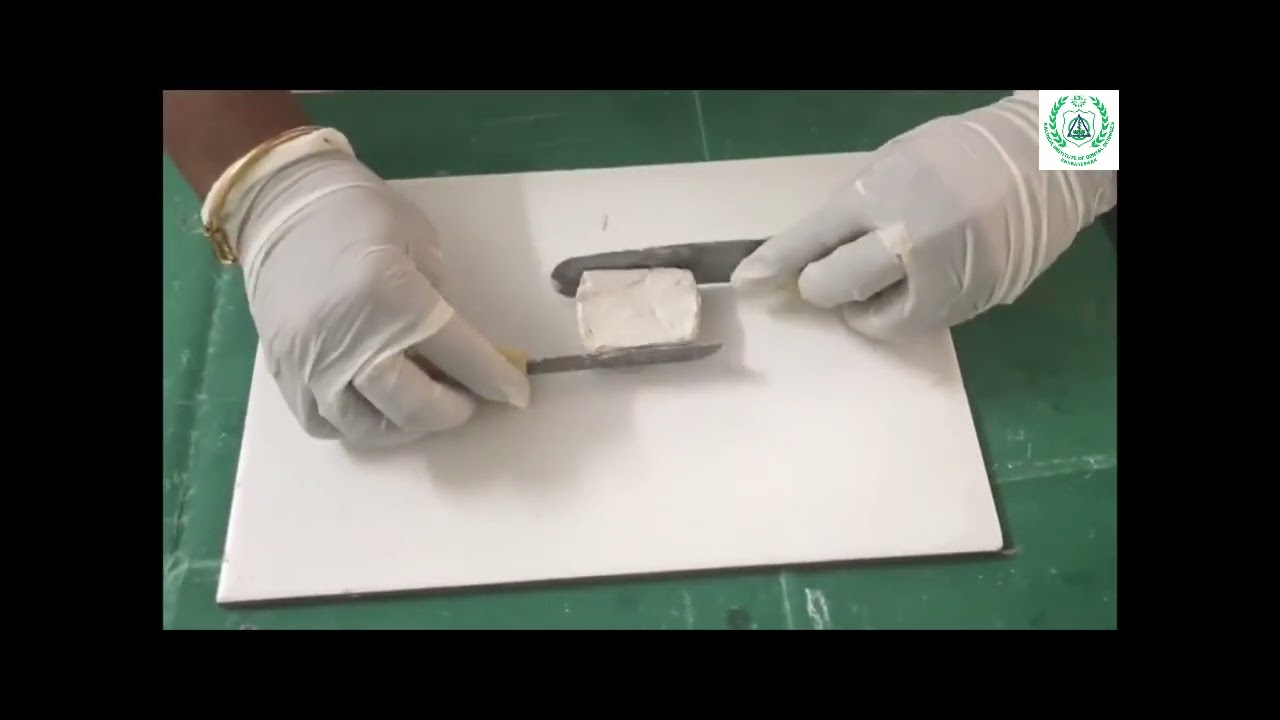 Plaster Cube Demonstration