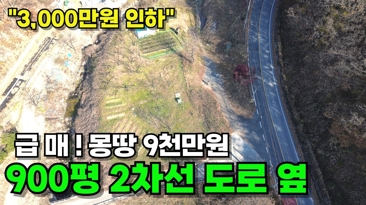 토지 급매! 900평 2차선 도로 옆 | 몽땅 9천만원 | 기존 가격에서 