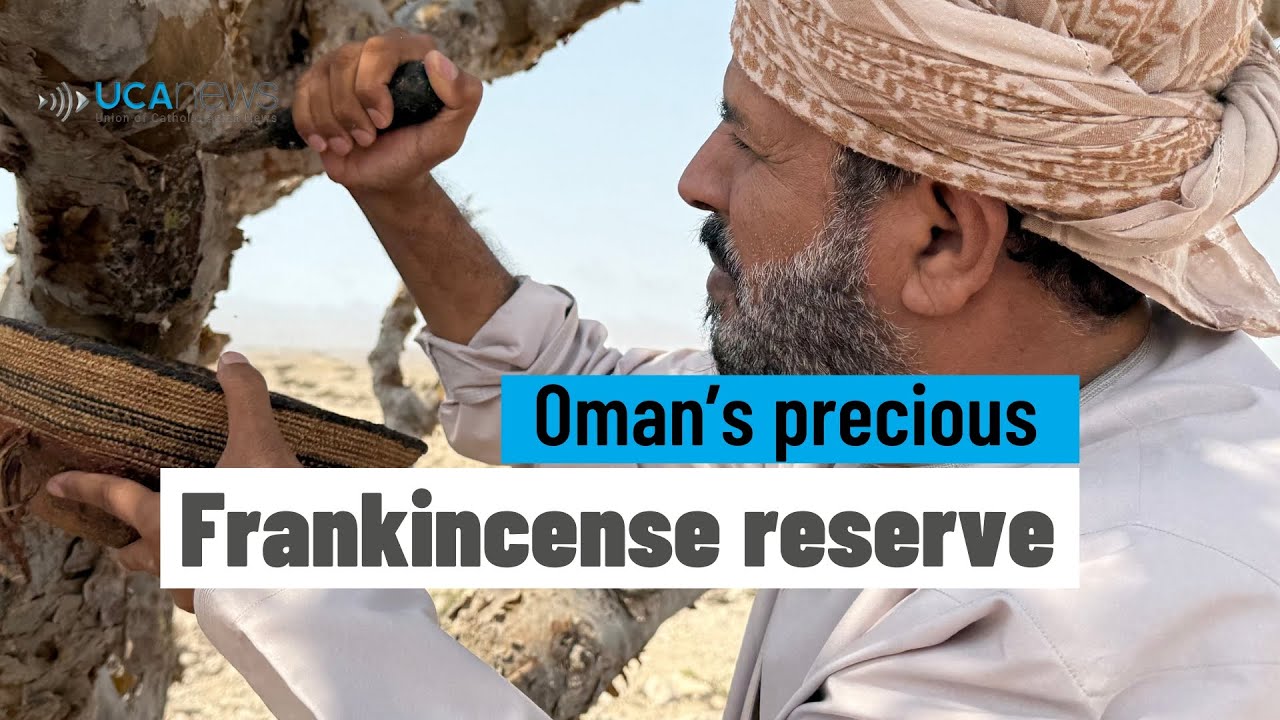 Frankincense in Oman: biblical gift and sacred tradition