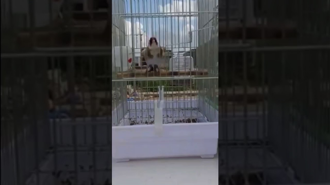 Akgerdan Hava g&uuml;zel &ouml;telim
