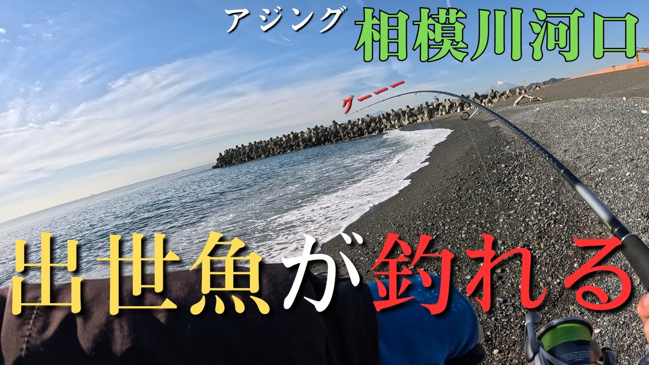 【相模川河口】釣れない時に釣れる場所を探した結果、、、アジング初心者【2025年12月10日】