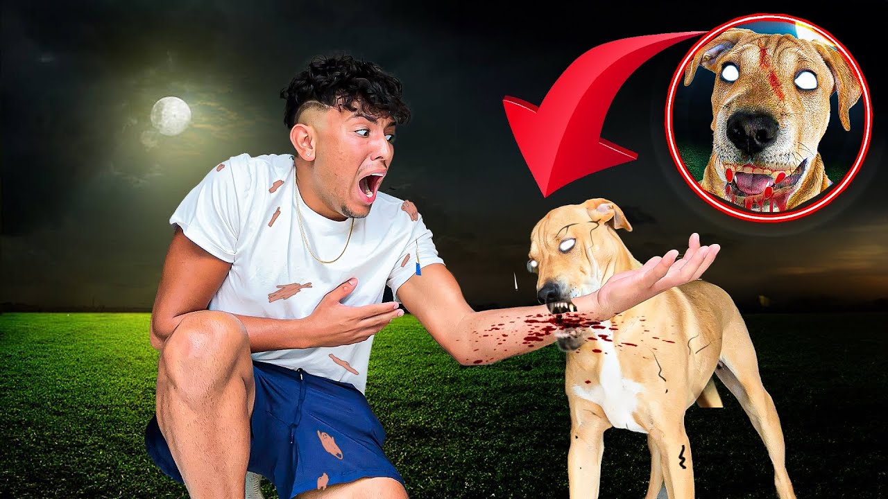MY POSSESSED DOG BIT ME..
