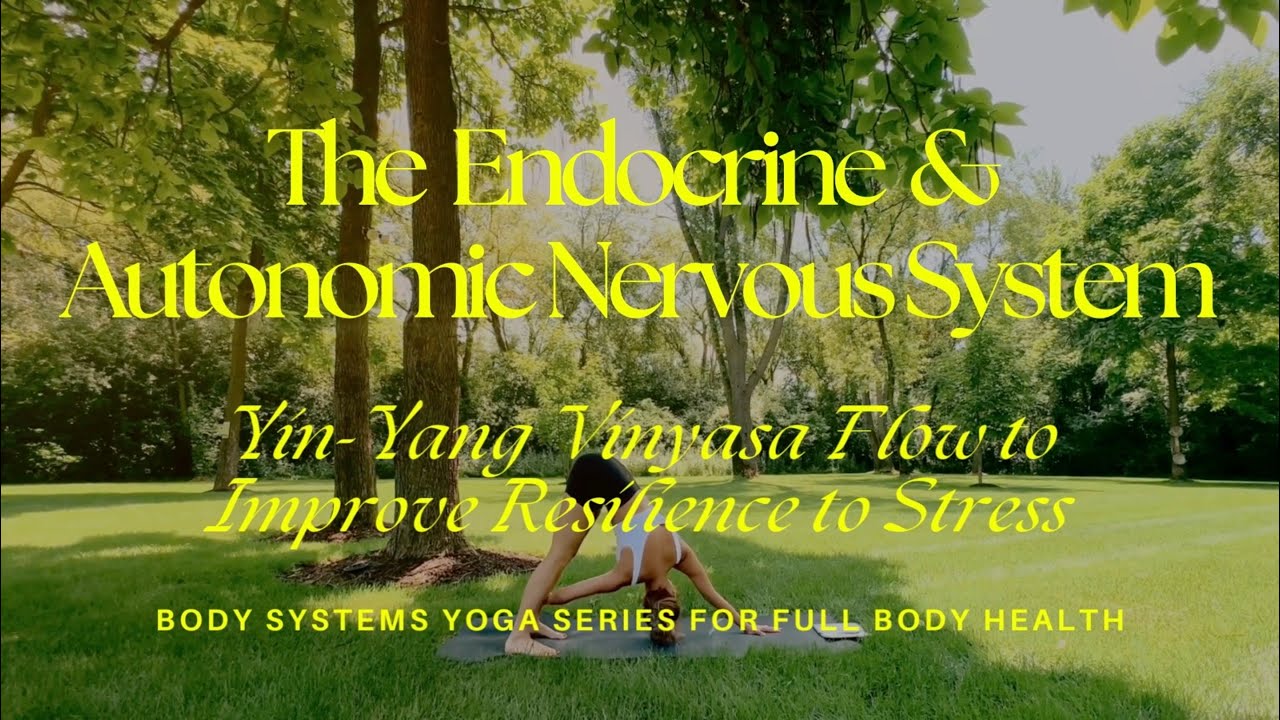 #4 ENDOCRINE & AUTONOMIC NERVOUS SYSTEM: Yin-Yang Vinyasa Flow to Improve Resilience to Stress