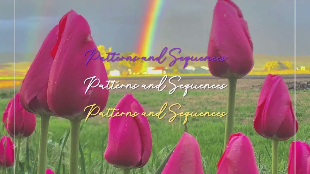 Patterns and Sequences - Nicole Hansen