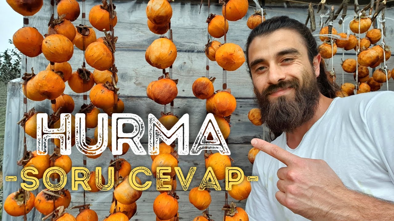 TRABZON HURMA NASIL KURUTULUR? | ⚠️HURMA NEDEN BAĞIRSAK TIKAR?⚠️ | HURMA PUDİNGİ TARİFİ