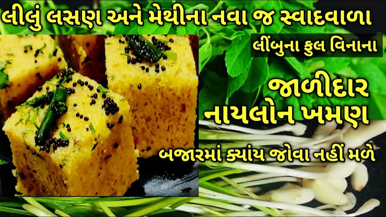 આ ટેસ્ટના નાયલોન/ઇન્ટસ્ટંટ ખમણ બજારમાં પણ નહીં મળે/ kalpana Naik