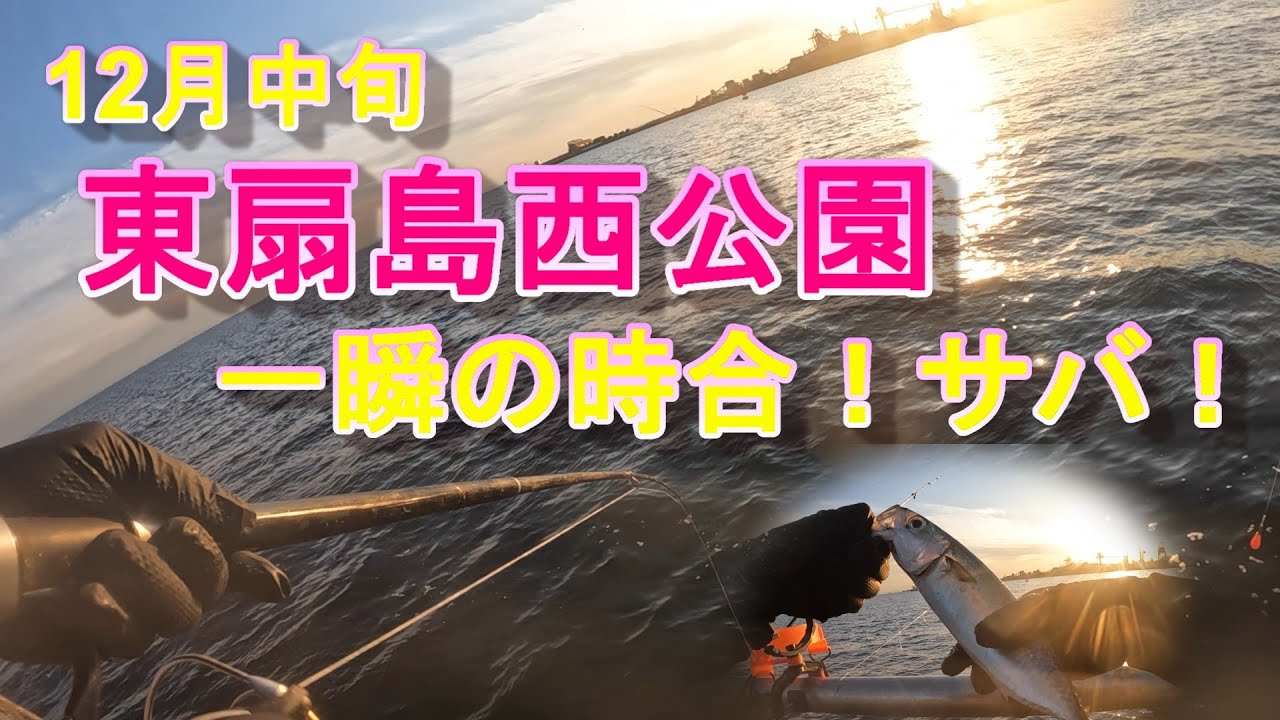 【東扇島西公園】一瞬の時合サバ！１２月中旬