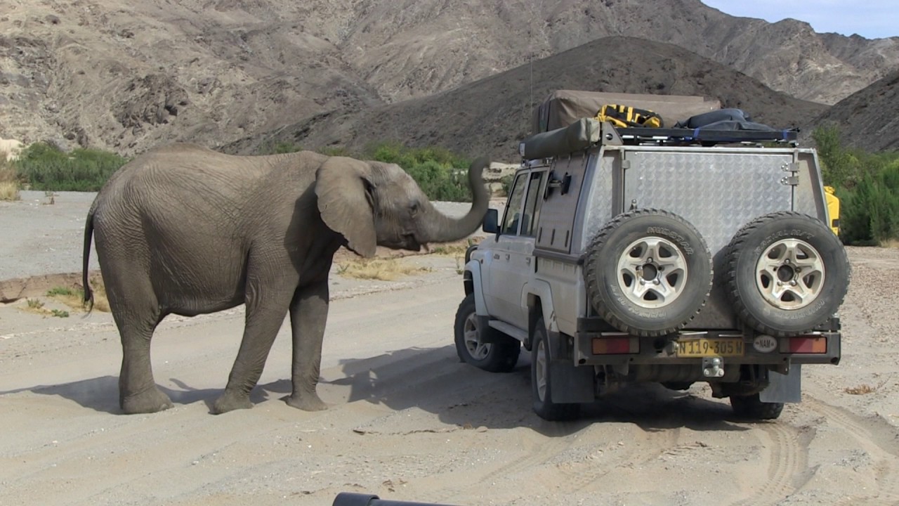 Namibia 4x4