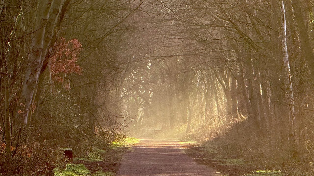 The Truth Behind The Noise