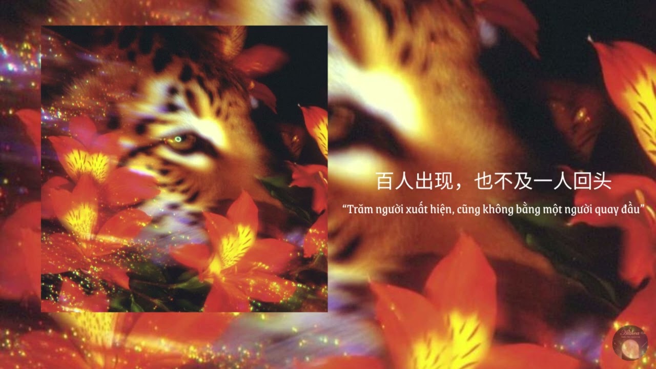 'Trăm người xuất hiện, không bằng một người quay đầu' || Subliminal