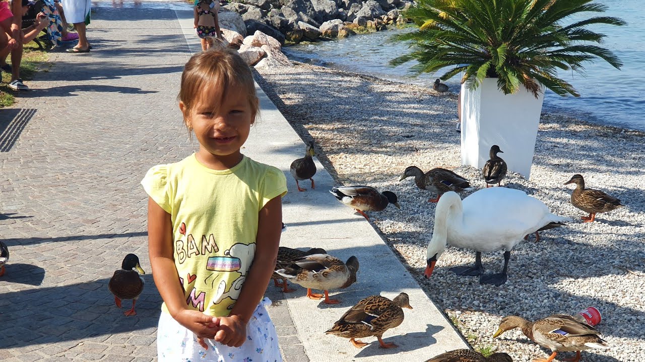 Италия Italia Lago di Garda.сравнение : LEGOLAND, GARDALAND, Caneva Aquapark