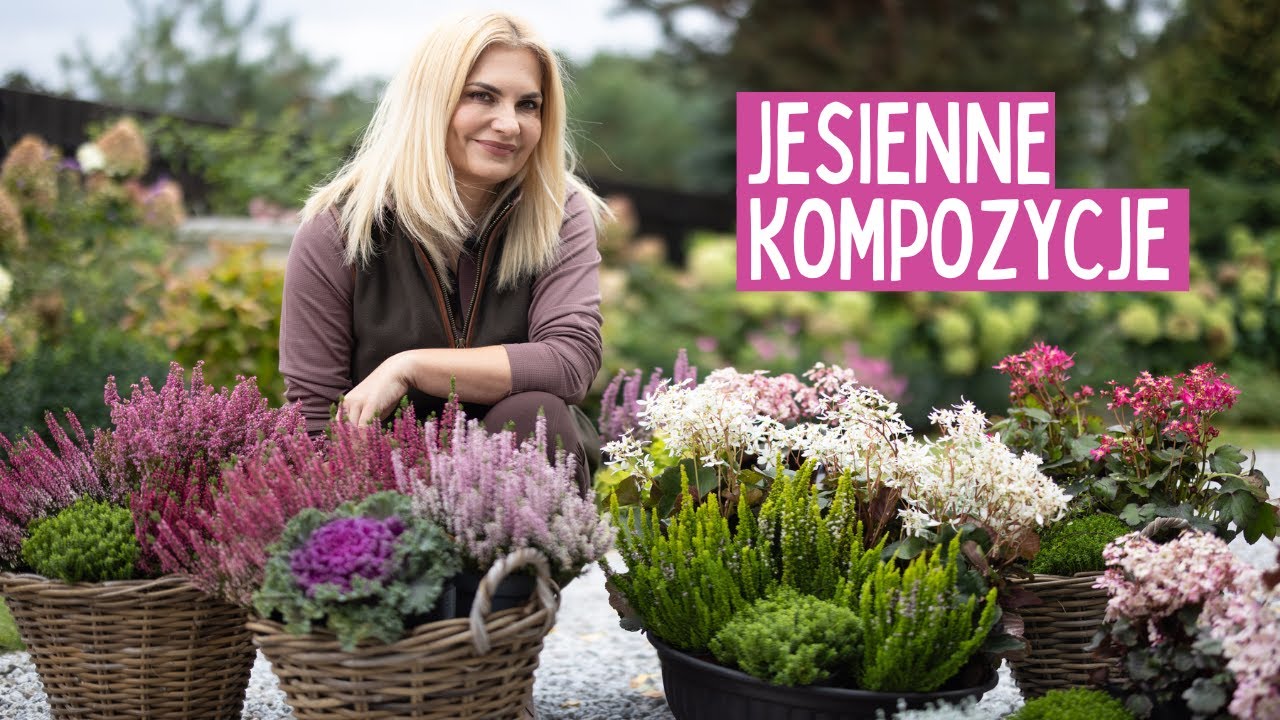 7 pomysł&oacute;w na jesienne kompozycje do donic - wrzosy, wrzośce, skalnice, kapusty, hebe i inne