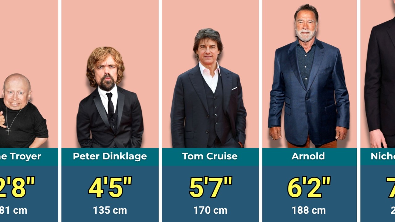 Height Comparison of Hollywood Actors |Shortest to Tallest 