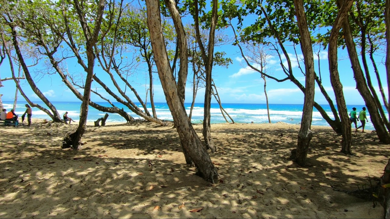 Exploring Playa Encuentro in Cabarete, Dominican Republic