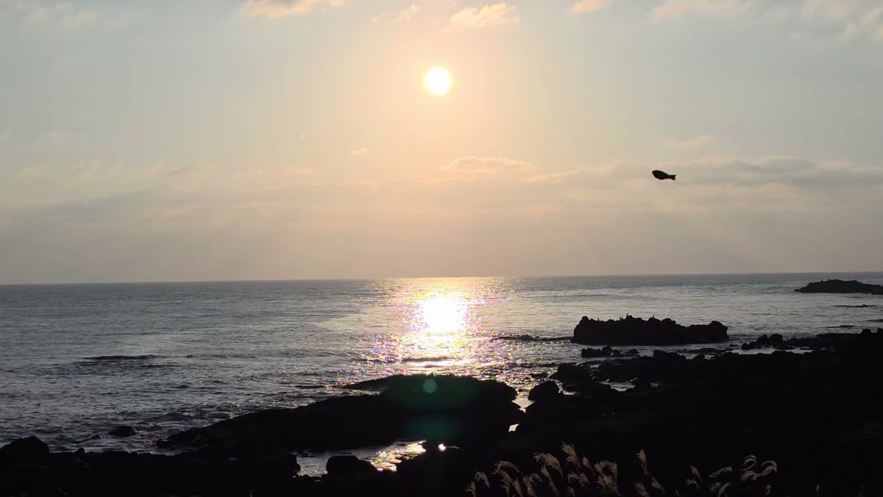 바다 #sea #노을해안로 