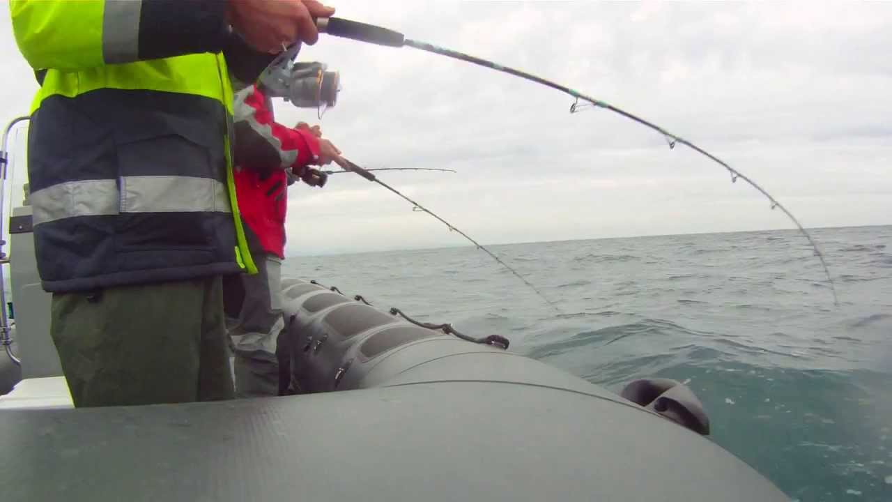 light jigging: the crazy day