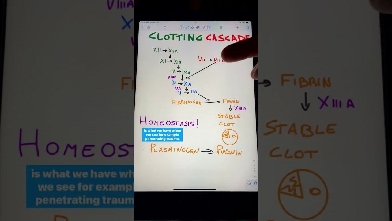 How Tranexamic Acid Works