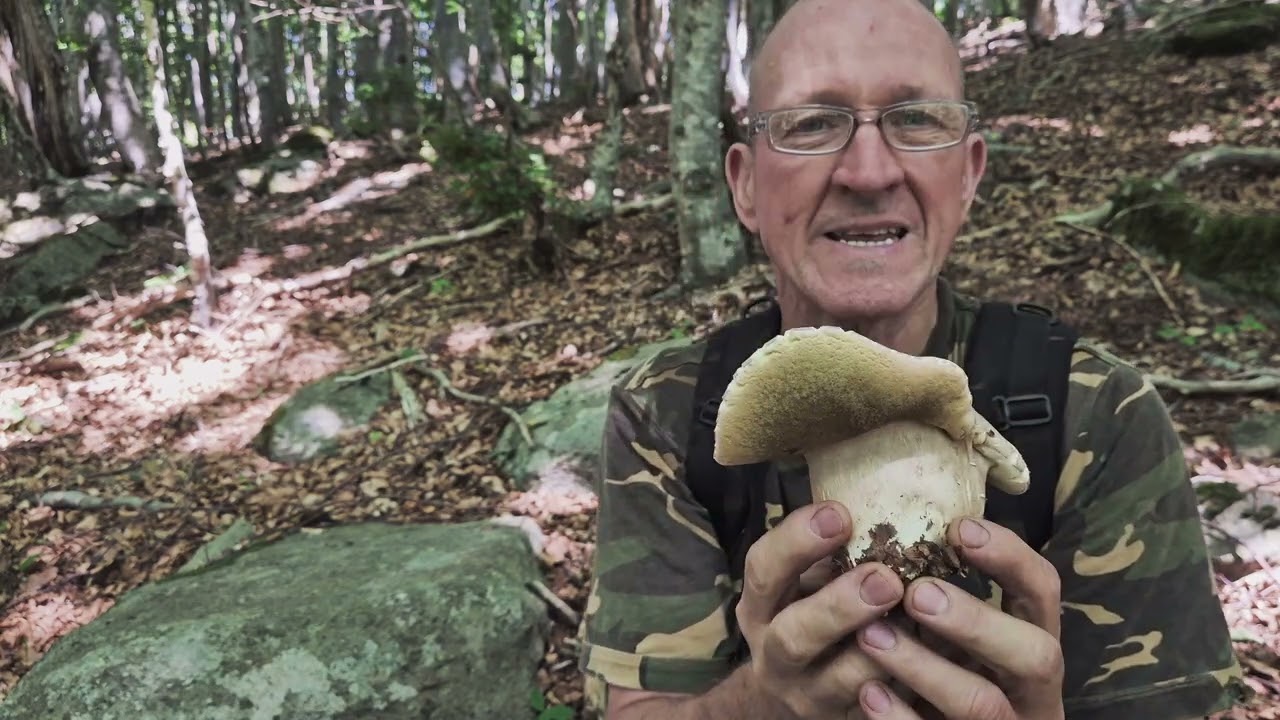 PORCINI 2025 CON CLAUDIO IN VALDAVETO A RACCOGLIERE GLI ULTIMI