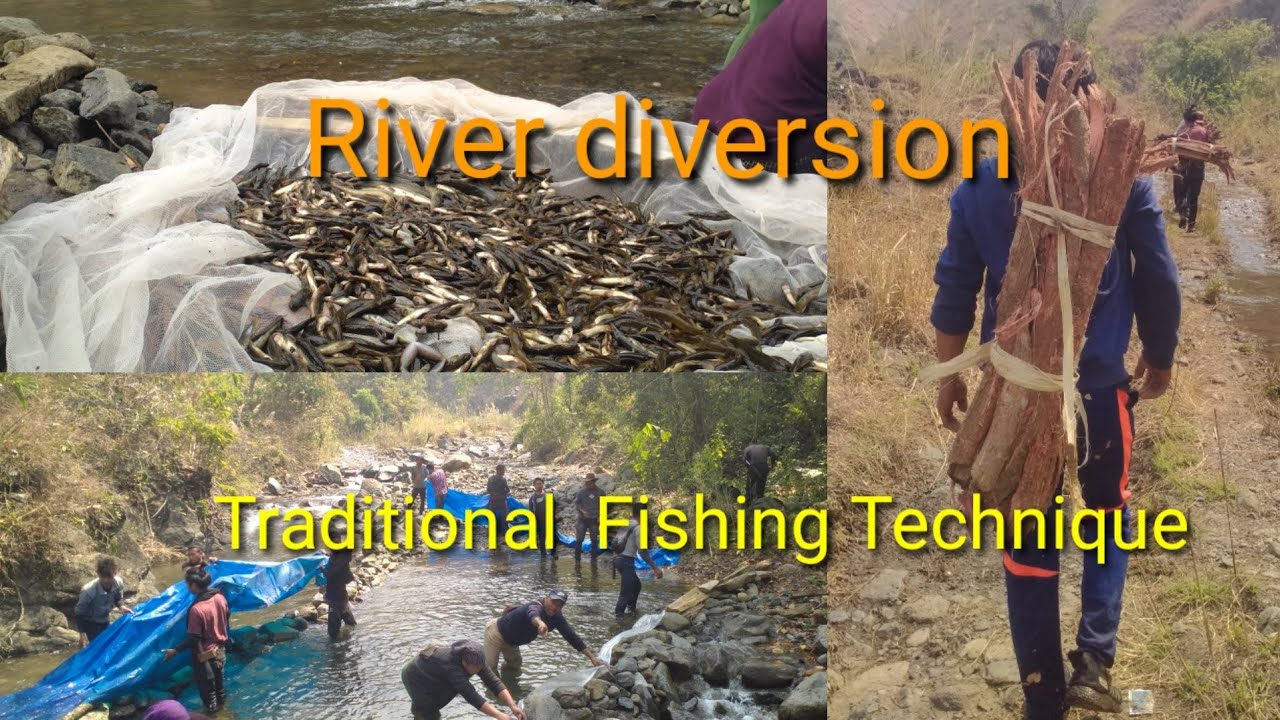 River Diversion Traditional way of fishing 💗💯 #communityfishing #fishingtips