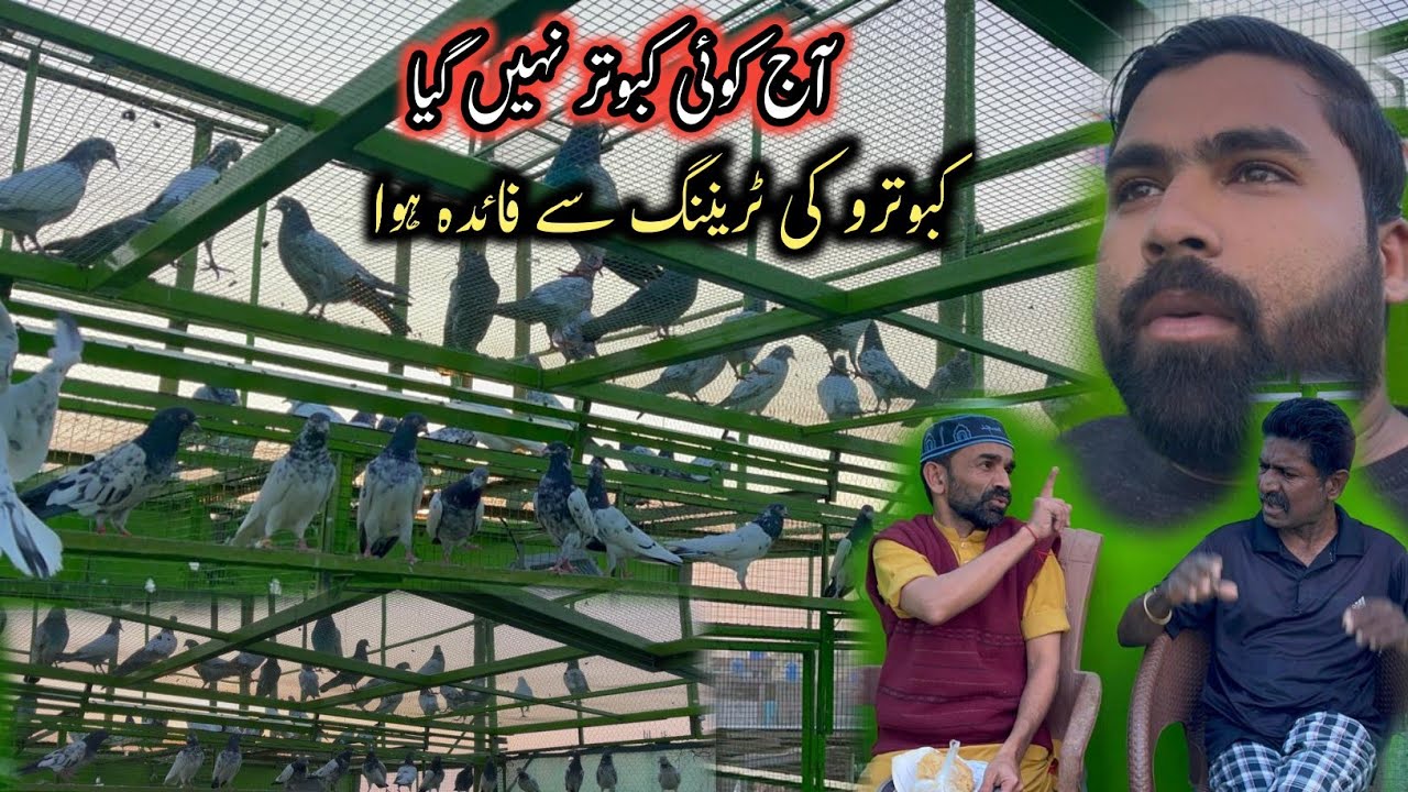 Kabootaro Ki Traning Se Buhat Faida Huwa 