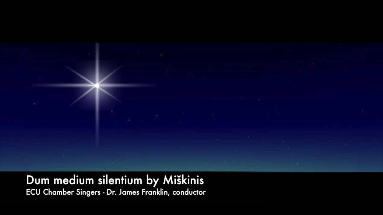 Dum medium silentium   Miškinis