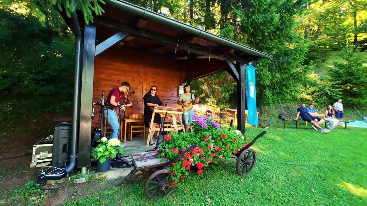 Despacito - Trio Rožej (LIVE)