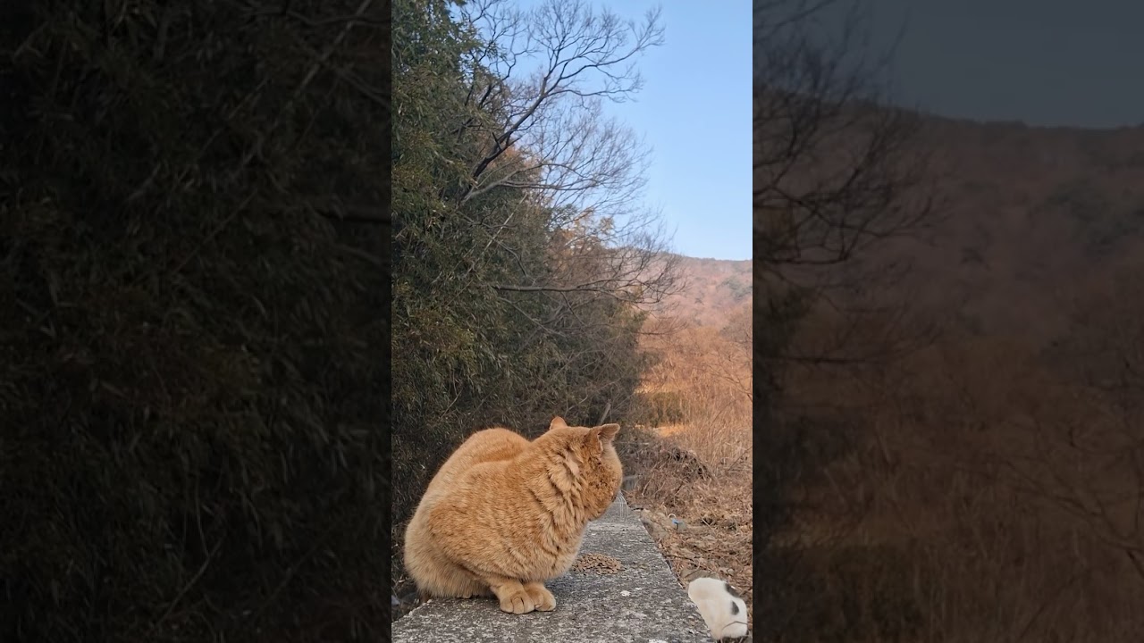 *~할~미* 잔소리가 싫어요~^^*