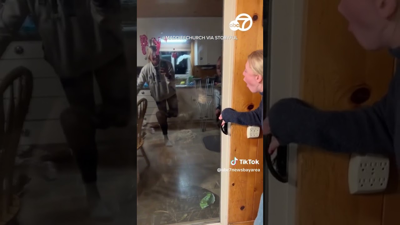 Bear attempts to break into CA home with residents inside