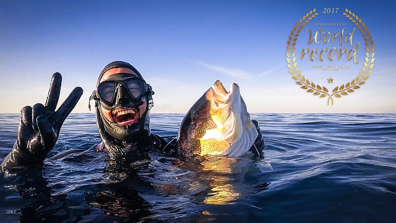 Pesca submarina. Jose Lu&iacute;s Leal:  Dentex Dentex World Record.