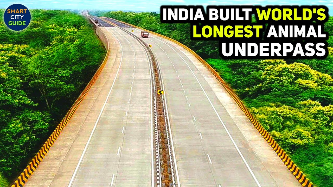 India's 1st & World&rsquo;s LONGEST Animal UNDERPASS on HIGHWAY in Pench National Park | NH-44 Highway
